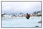 photo_946