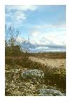 photo_962