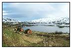photo_982