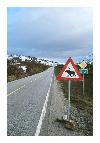 photo_983
