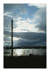 photo_984