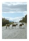 photo_986