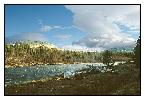 photo_991