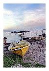 photo_872