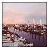 photo_876