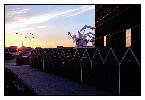 photo_878