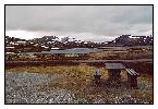 photo_1117