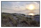 photo_1118