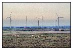 photo_1119