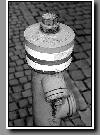06_05_nb_0124.jpg   Cliquer ici pour agrandir