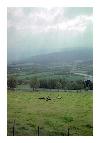 photo_1234