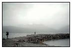 photo_1237