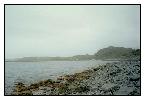 photo_1238