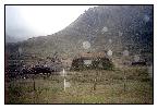 photo_1240