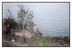 photo_1241