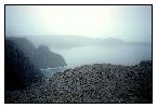 photo_1242