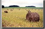 12_2004_neg_0107.jpg   Cliquer ici pour agrandir