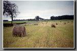 12_2004_neg_0108.jpg   Cliquer ici pour agrandir