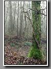 12_2004_neg_0112.jpg   Cliquer ici pour agrandir