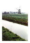 photo_1257