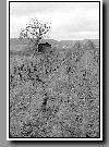 12_2004_nb_0104.jpg   Cliquer ici pour agrandir