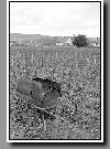 12_2004_nb_0107.jpg   Cliquer ici pour agrandir