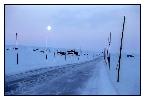 photo_1301
