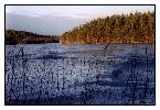 photo_1304