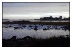 photo_1305