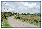 photo_1454