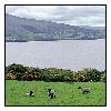 photo_1455