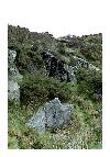 photo_1456