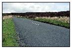 photo_1457