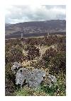 photo_1458