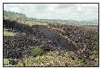 photo_1460