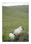 photo_1467