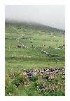photo_1468