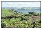 photo_1476