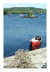 photo_1477