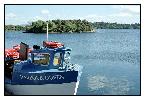photo_1478