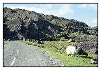 photo_1480