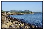 photo_1482