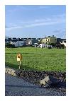 photo_1483
