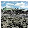 photo_1485