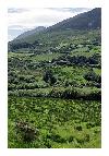 photo_1487