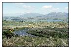 photo_1493