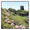 photo_1494