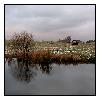 photo_1877