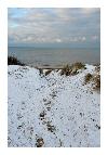 photo_1881