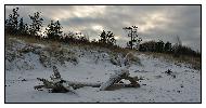photo_1883